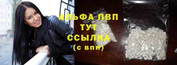 гашик Баксан