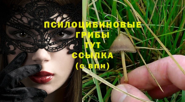 МДПВ Балахна