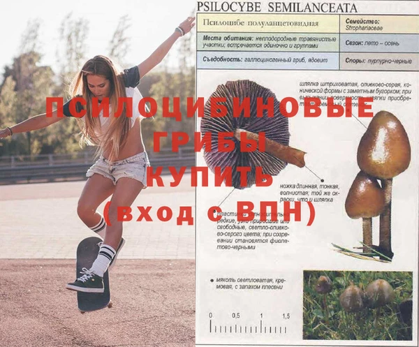 гашик Баксан