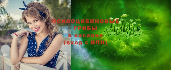гашик Баксан